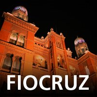 Dengue | Portal Fiocruz – Fiocruz